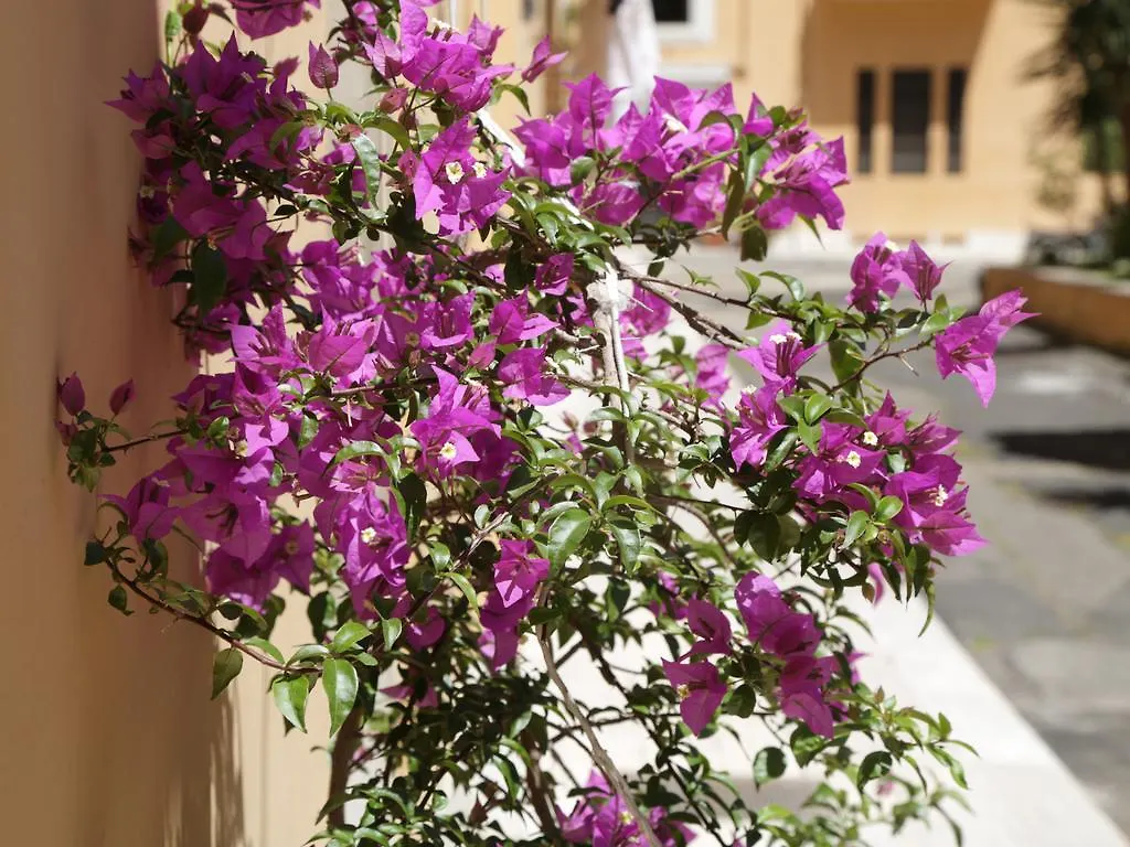 Guest House Masterintrastevere Rome